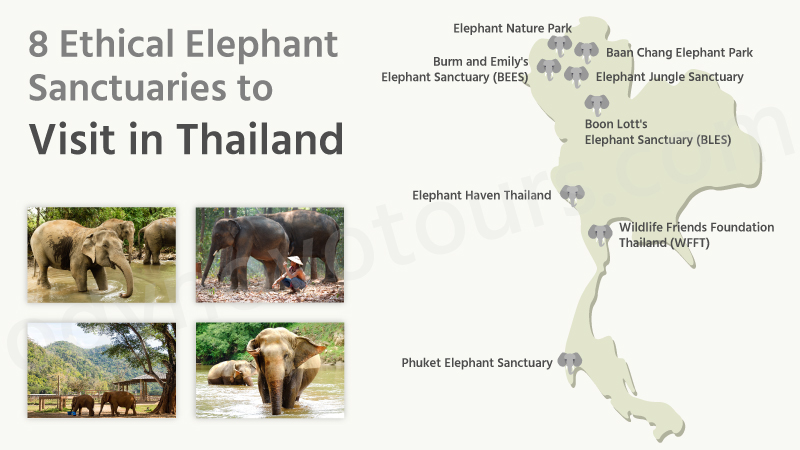 Ethical Elephant Sanctuaries in Thailand