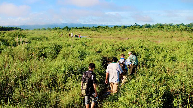 Chitwan Jungle Walk