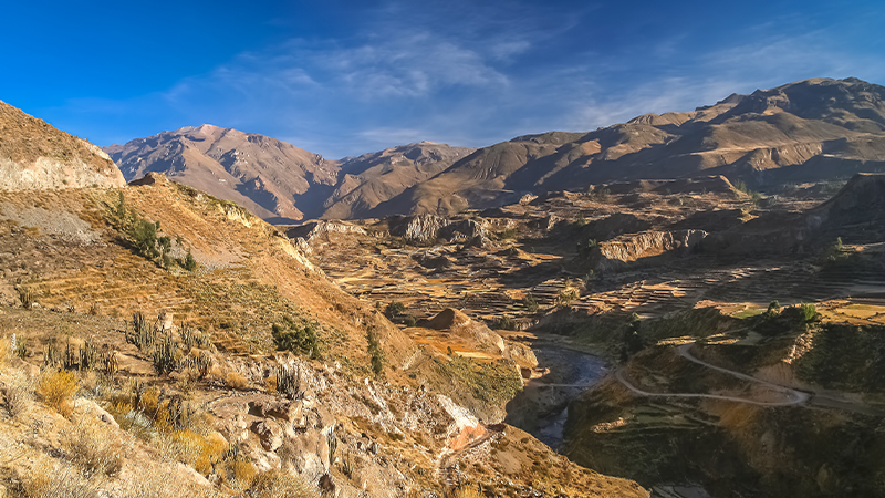 Canyon Colca, Peru