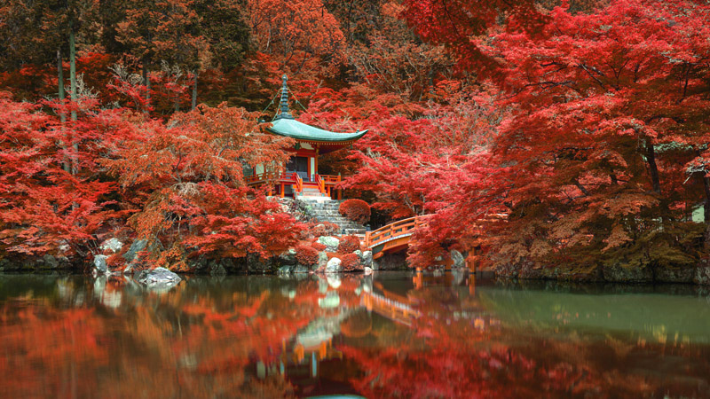 Fall Foliage at Daigo-ji Temple, Kyoto