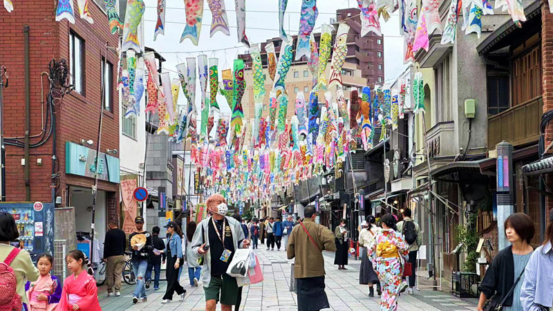 Flying Carp Streamers, Koinobori