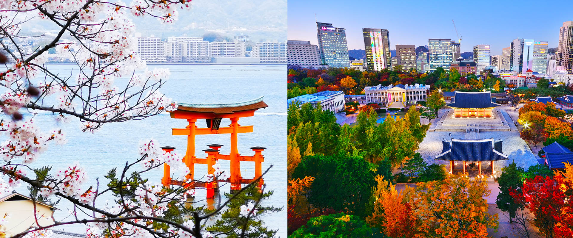 South Korea vs Japan: 2026 Asian Games Men's Basketball Preview & Schedule