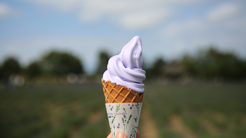 Lavender Ice Cream