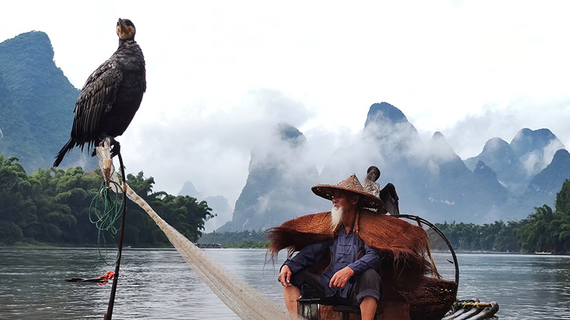 A local fisher and a cormorant on Li River