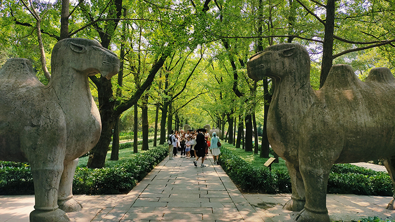 The sacred way in Ming Xiaoling