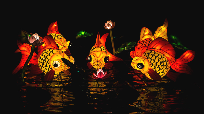 Paper Goldfish Lanterns