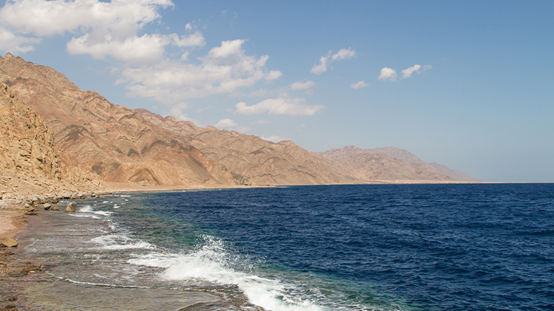 The Coastline of the Red Sea