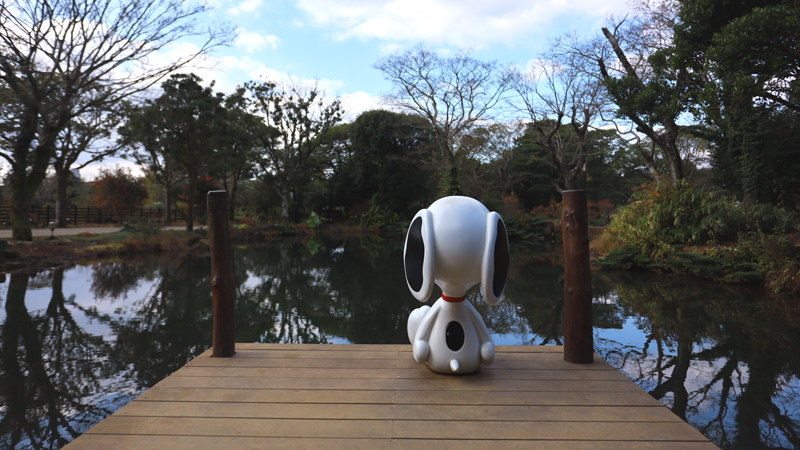 Snoopy Garden