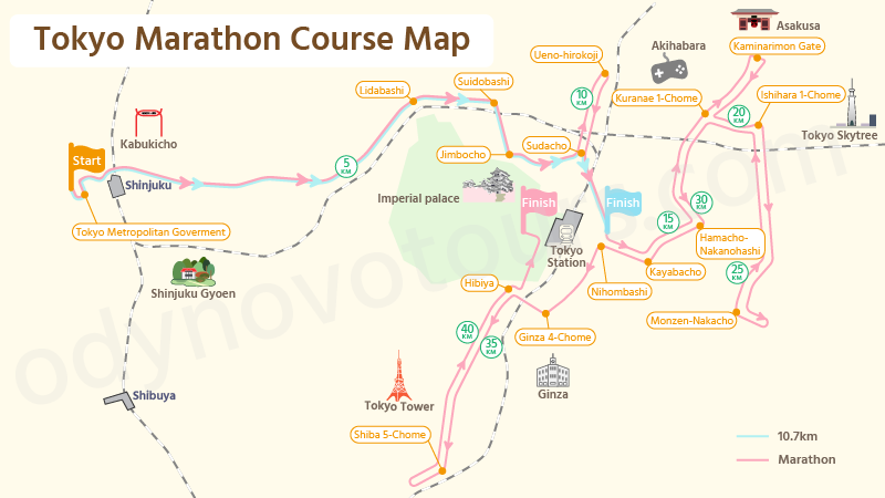 Tokyo Marathon Course Map