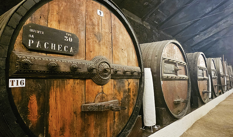 Winery in Duoro Valley