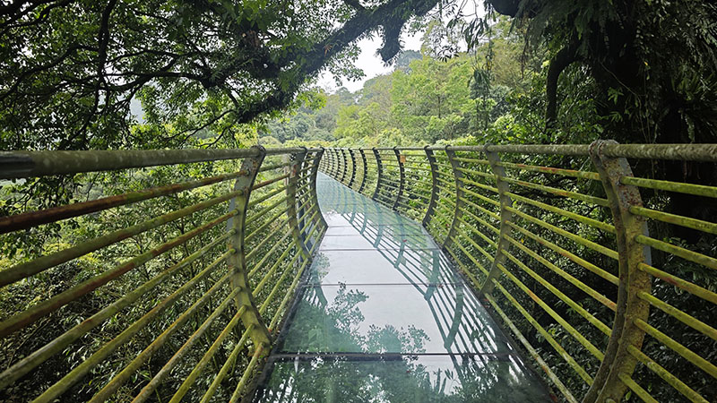  Baihualing Rainforest in Qiongzhong