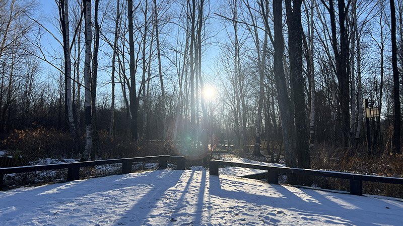Hiking in Changbai Mountain forest