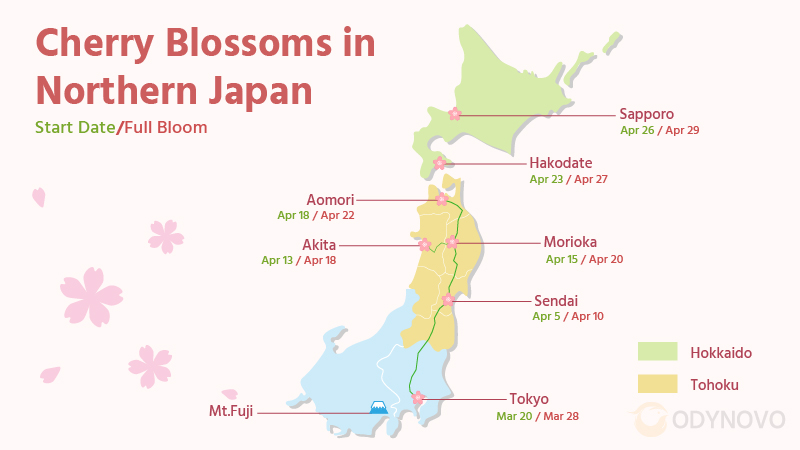 Cherry Blossom Map of Northern Japan