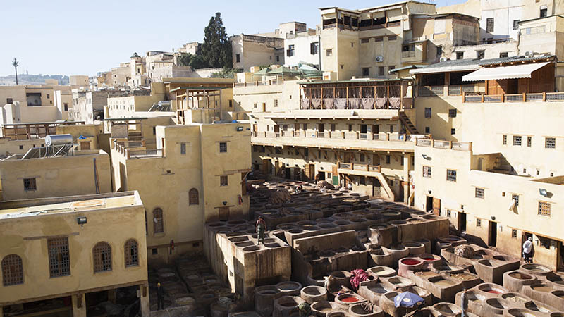 Chouara Tannery in Fes