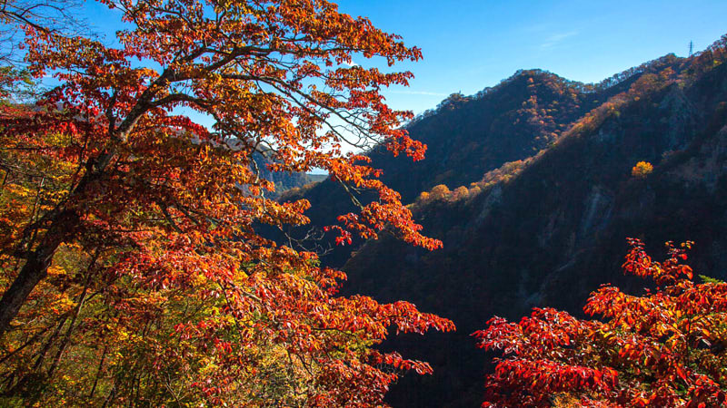 Daisetsuzan National Park in Autumn