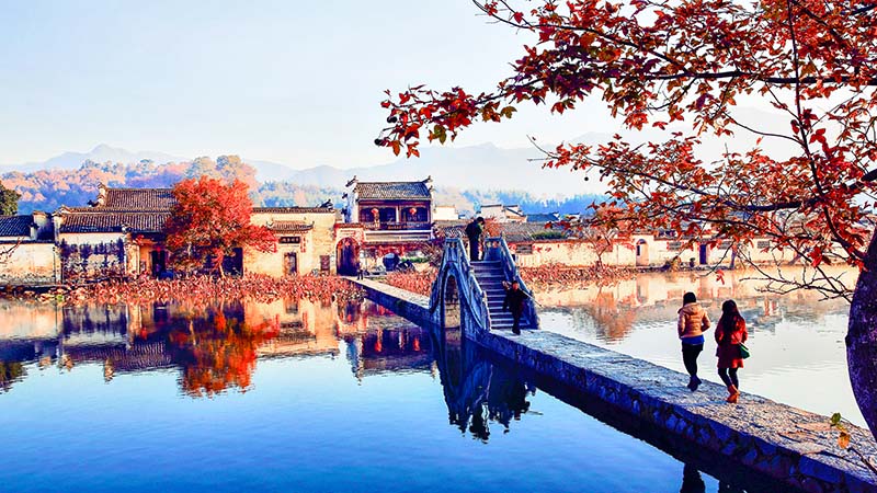 Hongcun Village in Autumn