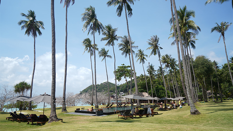 Luxury Resort in Koh Tao