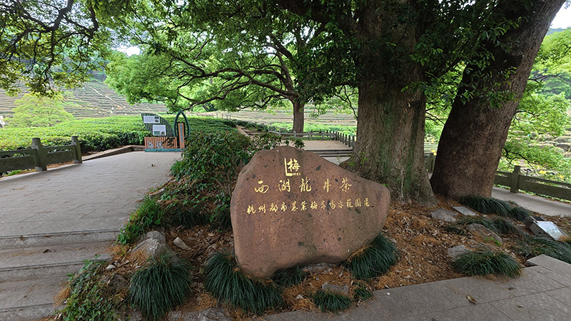  Meijiawu Tea Plantation in Hangzhou