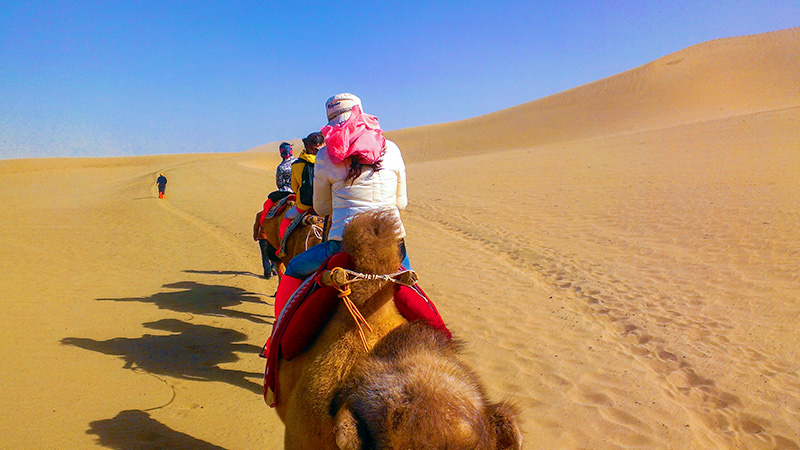 Try camel riding on Mingsha Mountain
