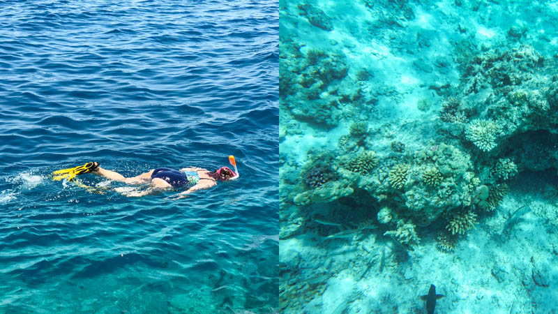 Snorkel en el Mar Rojo