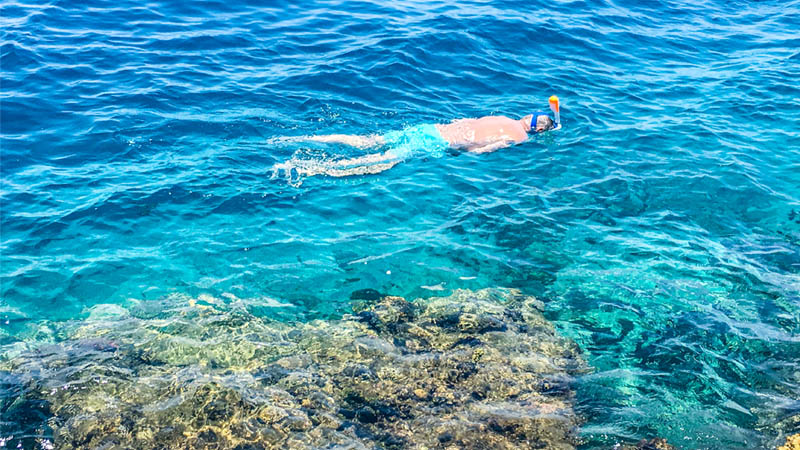 Snorkeling in the Red Sea