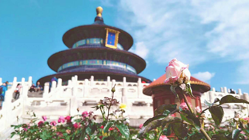 Temple of Heaven with blooming flowers