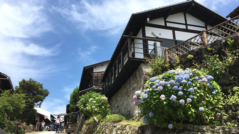 Wooden Houses and Hydrangeas Along Nakasendo