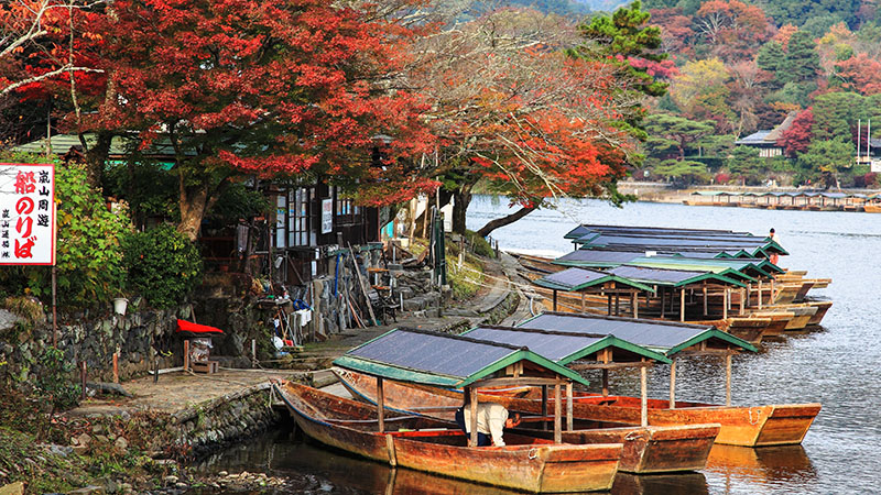 Arashiyama Autumn Foliage