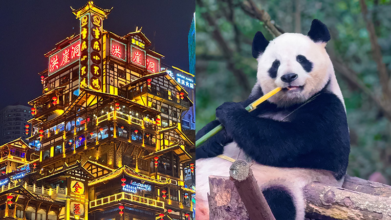 Hongya Cave in Chongqing vs. Pandas in Chengdu
