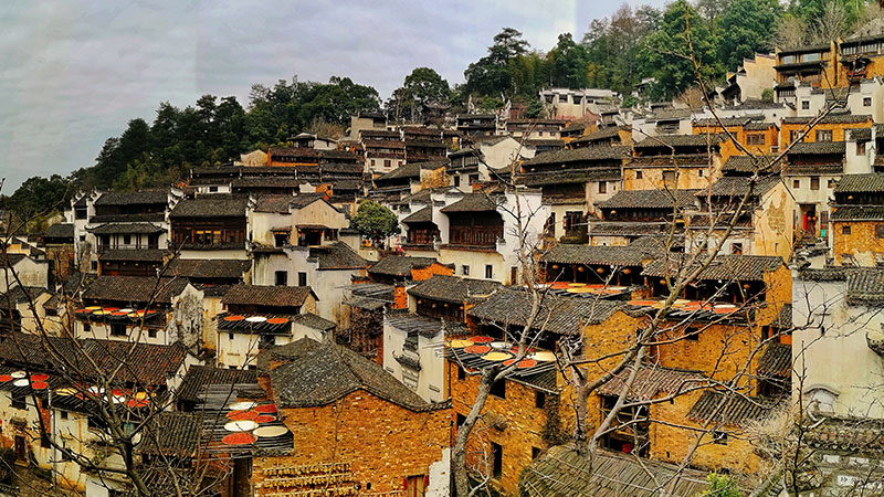 Harvest season in Huangling Village