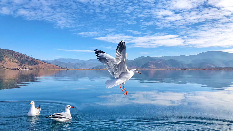 Lugu Lake, Yunnan