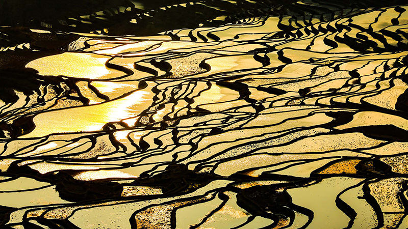Yuanyang Rice Terraces