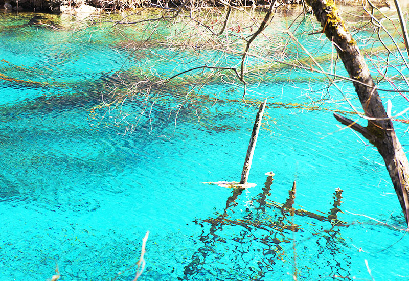 A lake in Jiuzhaigou National Park