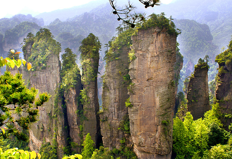 Limestone peaks in Zhangjiajie National Park