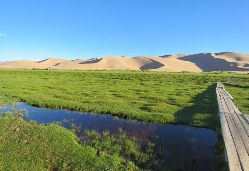 Sand dunes and oasis in Mongolia