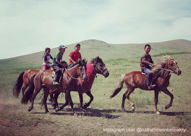 Naadam Festival horse racing