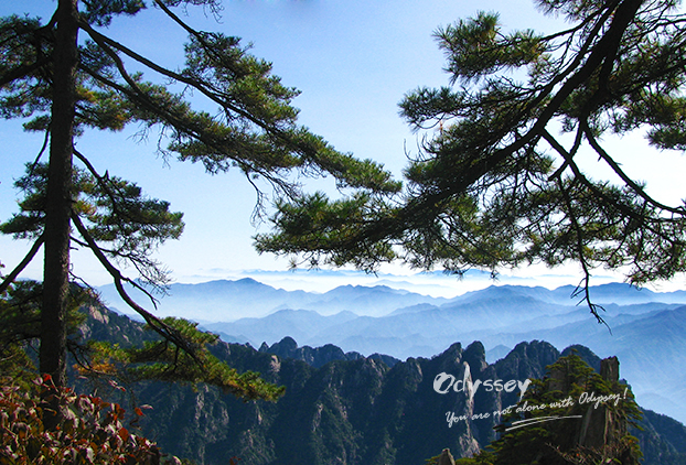 By Jun Wang, Odyssey Travel Consultant