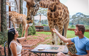 Wildlife Encounters