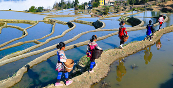 Yunnan Ethnic Minorities and Terraced Fields