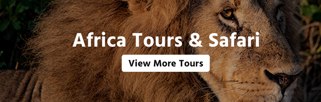Africa Tour & Safari