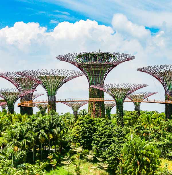 Gardens by the Bay in Singapore