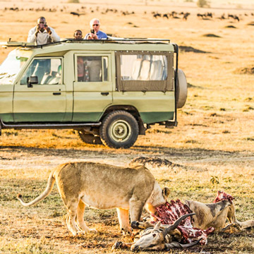 Wildlife Safari in Kenya