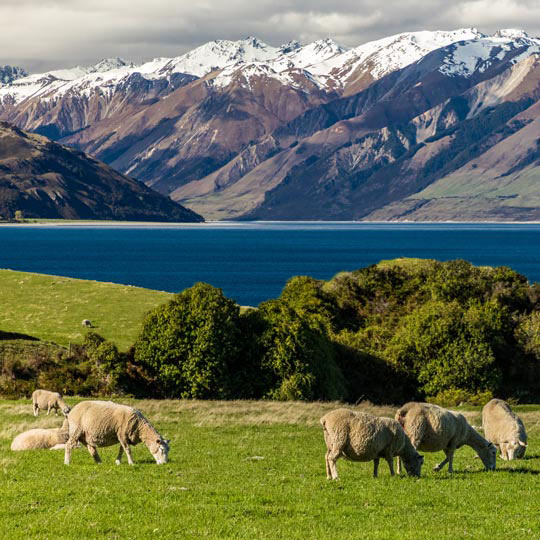 Mount Cook National Park, New Zealand