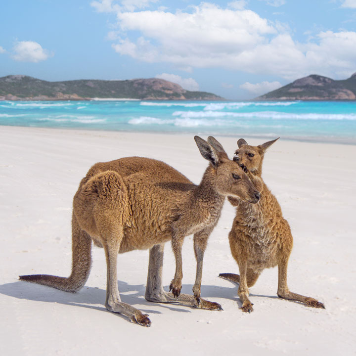 Kangaroo Island, Australia