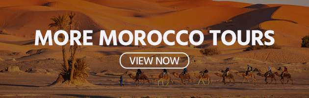 More Morocco Tours