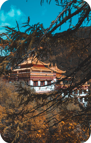 Dzong of Bhutan