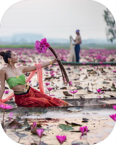 Red Lotus Lake of Thailand