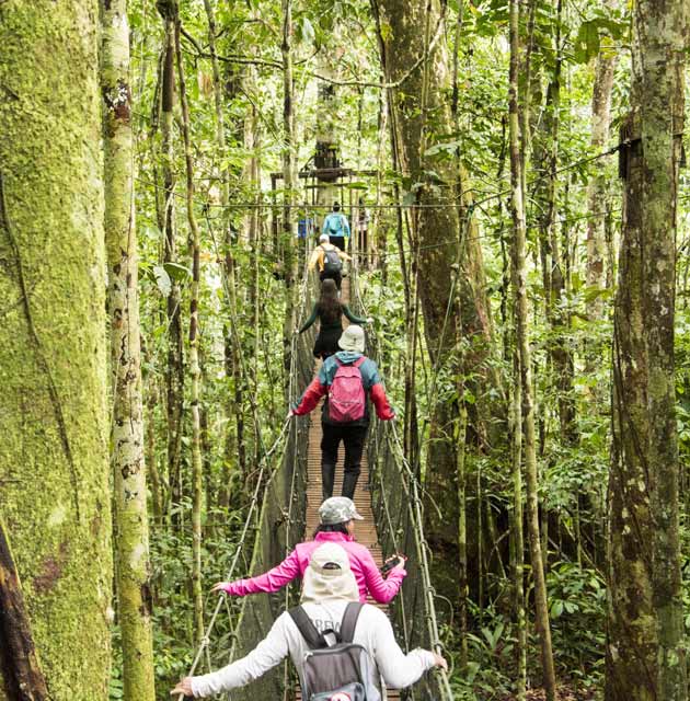 Amazon Forest, Brazil