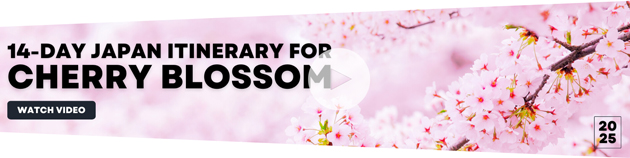 Video of a 14-Day Japan Cherry Blossom Tour