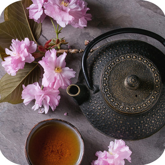 Japanese Tea Ceremony